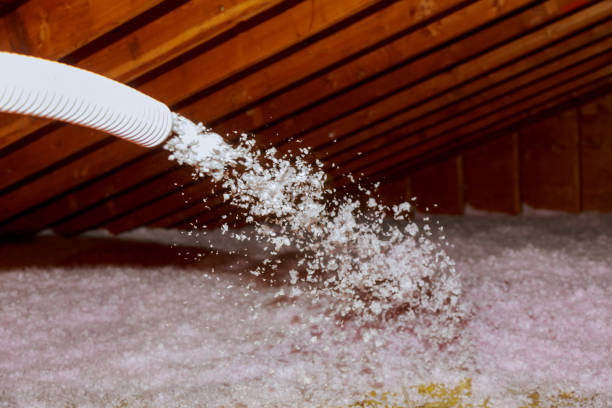 Professional Insulation Contractor in Hayfield, VA