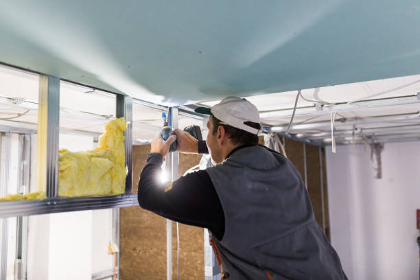 Best Spray Foam Insulation in Hayfield, VA