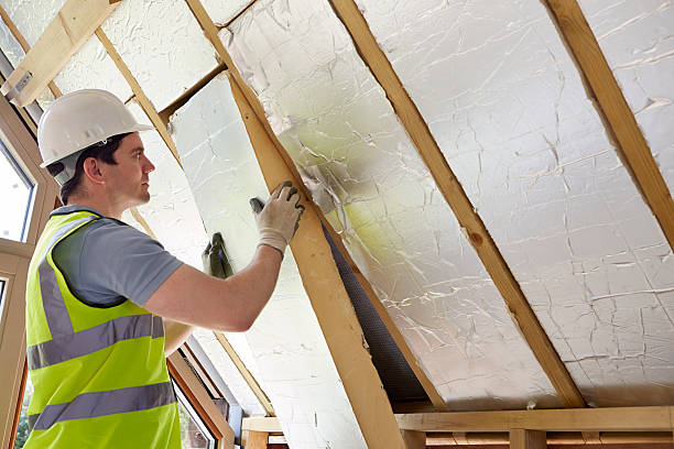 Best Geographic-Specific Insulation Services in Hayfield, VA