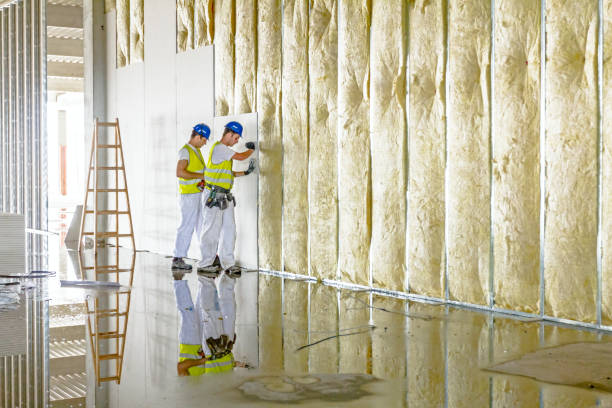 Best Spray Foam Insulation in Hayfield, VA